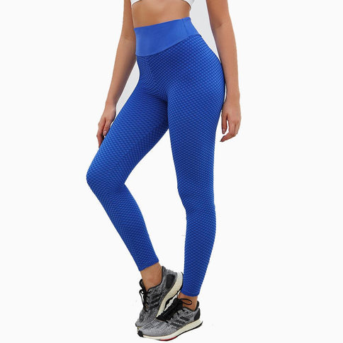 Yoga Pants, Mesh Knitting, High Waist, Gym