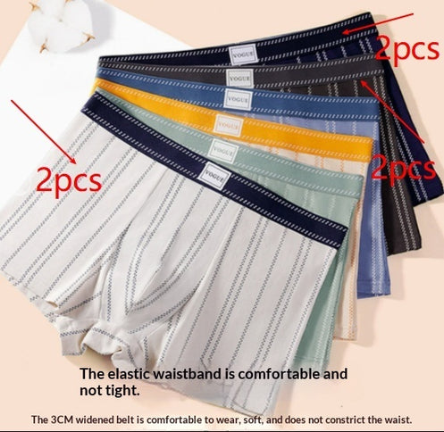 Antibacterial Sweat-Absorbent And Breathable Shorts